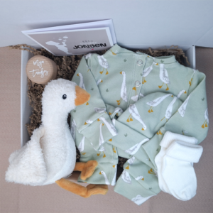 Kraamcadeau jongen knuffelgans