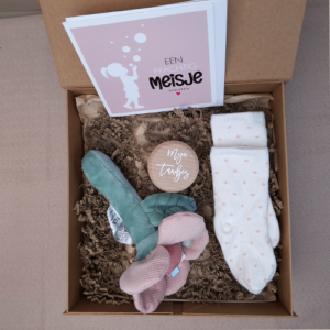 Kraamcadeau meisje rammelaar bloem roze