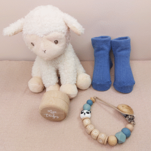 Kraamcadeau met naam schaap pandabeer