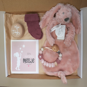 Brievenbus kraamcadeau met naam happy horse roze