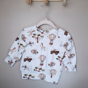 Sweater raglan aapjes