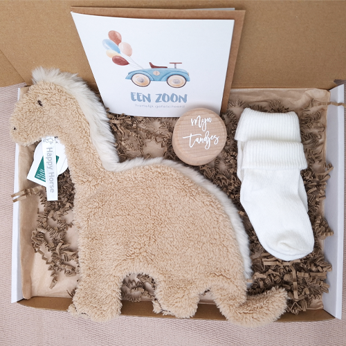 Brievenbus kraamcadeau jongen happy horse dino