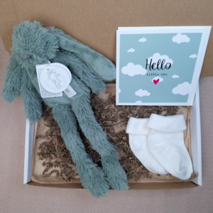 Brievenbus kraamcadeau jongen Happy Horse knuffel oudgroen