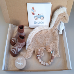 Brievenbus kraamcadeau met naam happy horse dino