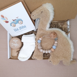 Brievenbus kraamcadeau met naam happy horse dino