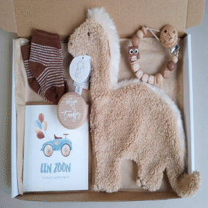 Brievenbus kraamcadeau met naam happy horse dino
