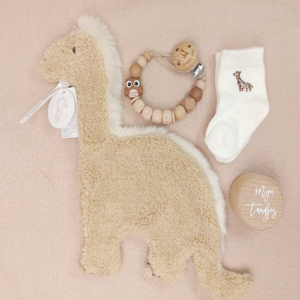 Brievenbus kraamcadeau met naam happy horse dino
