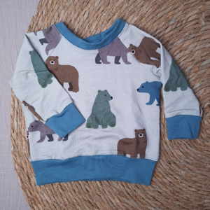 Babyshirtje sweater raglan beren